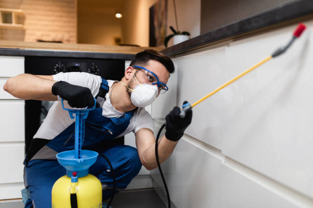 Best Mosquito Control Services  in Jeffersonville, KY