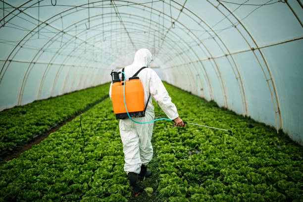 Best Local Pest Control Services  in Jeffersonville, KY