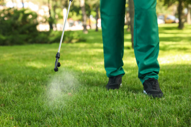 Trusted Jeffersonville, KY Pest Control Experts