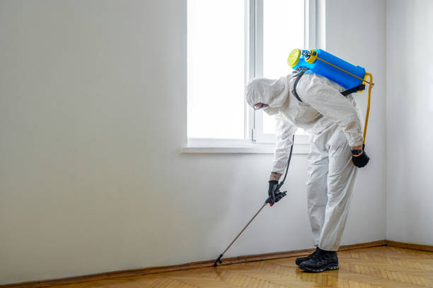 Best Wildlife Control Services  in Jeffersonville, KY