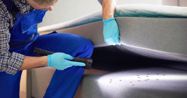 Best Affordable Pest Control Services  in Jeffersonville, KY